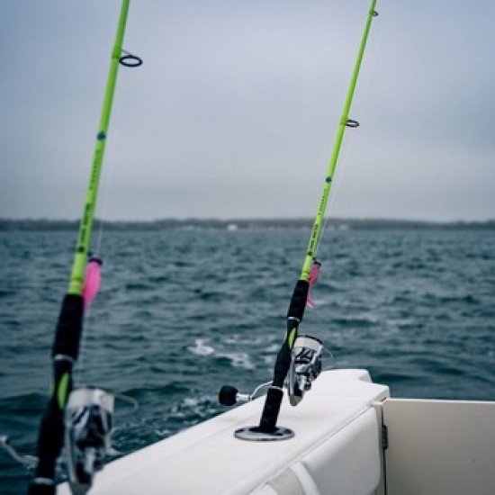 Dark Matter Fishaholic Inshore Spinning Rod (Long Island)
