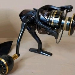 FBS Reel